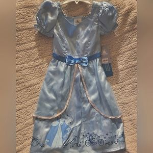 Cinderella dress / costume